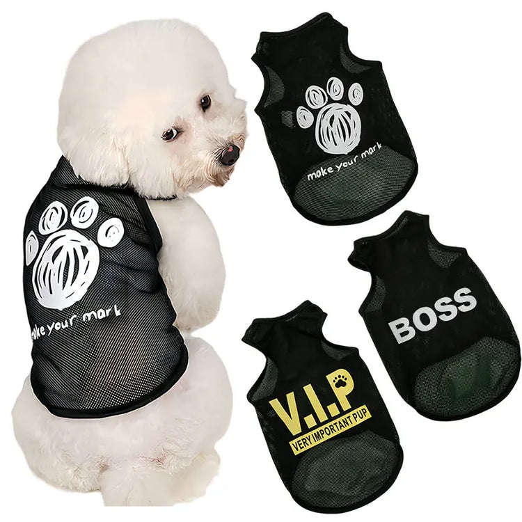 Pet Clothing & Accessories | Dog & Cat Outfits & Essentials