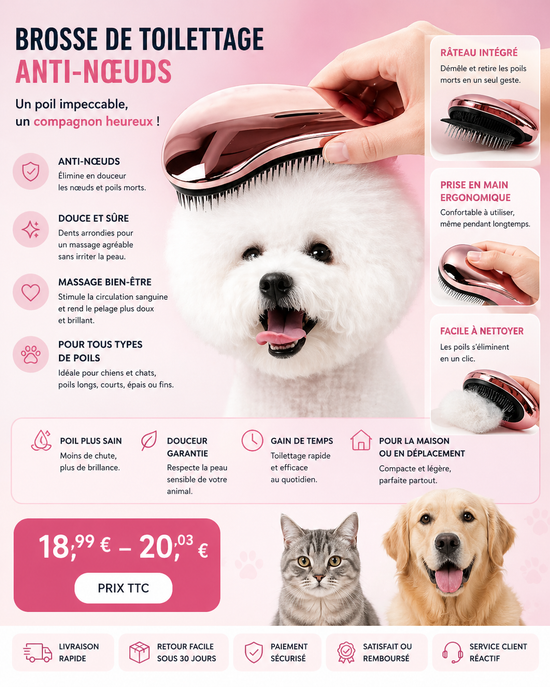 Brosse de toilettage anti-mue avec râteau et peigne