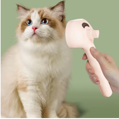 Brosse Vapeur Anti-Poils