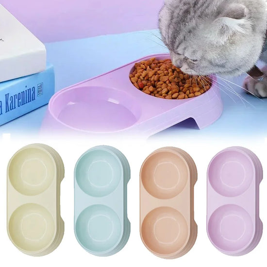 Pet Double Bowl