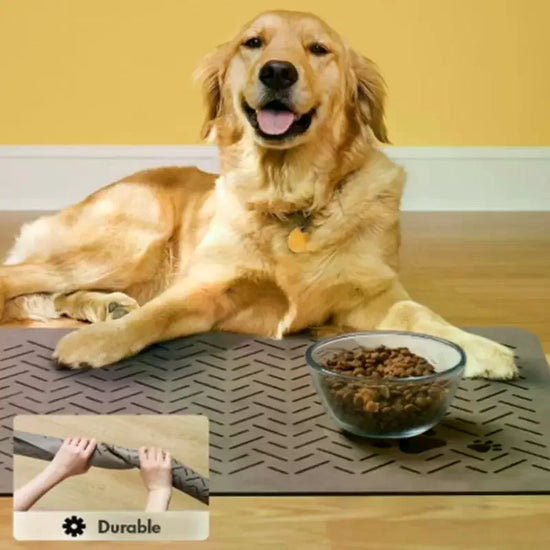 Pet Feeding Mat Absorbent