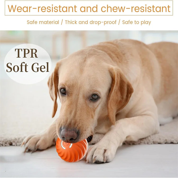 Smart Dog Toys Interactive Moving Ball