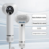 Pet Smart Electric Hair Dryer Machine