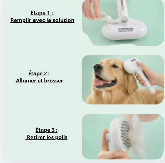 Brosse Vapeur Anti-Poils