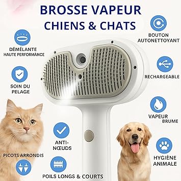 Brosse Vapeur Anti-Poils